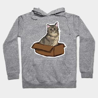 kitty in a box Hoodie